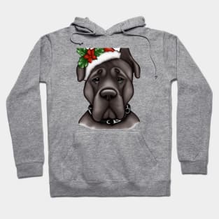 Cute Cane Corso Drawing Hoodie